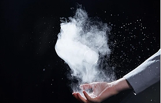 מתוך המיצב של בשנה שעברה עם Studio Swine