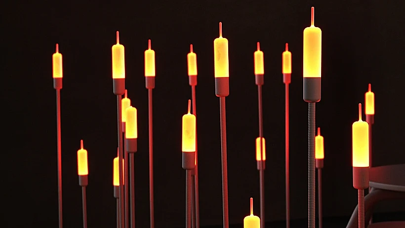 TAL (נעם בן צבי)