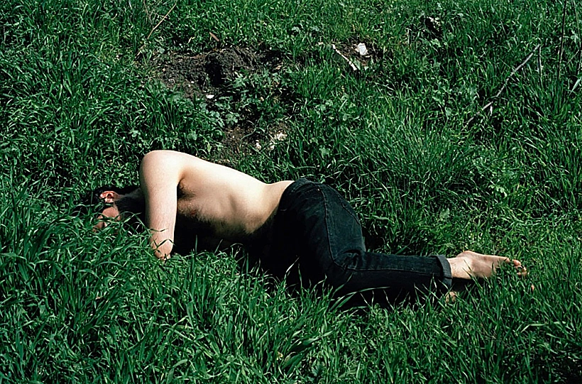 תומר פיגין, תערוכת נשל