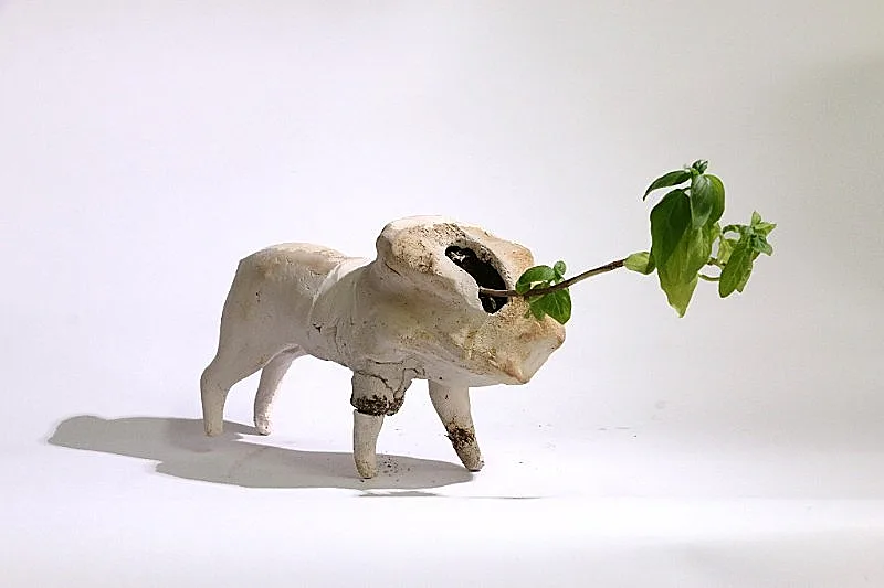 שומרי הגן, שרון גלזברג(יחצ )