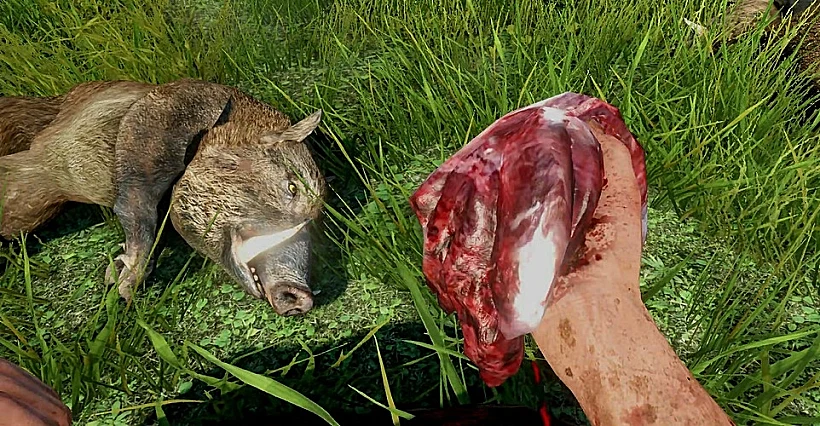 תמונה מהמשחק