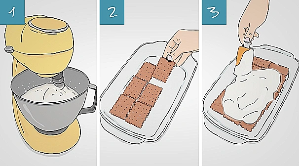 עוגת ביסקוויטים - איור