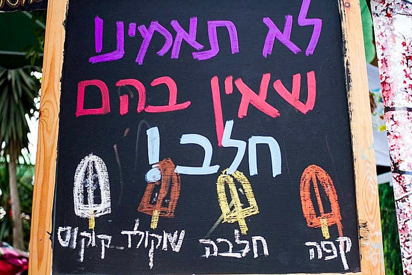 פסטיבל הטבעונות - ארטיקים טבעוניים