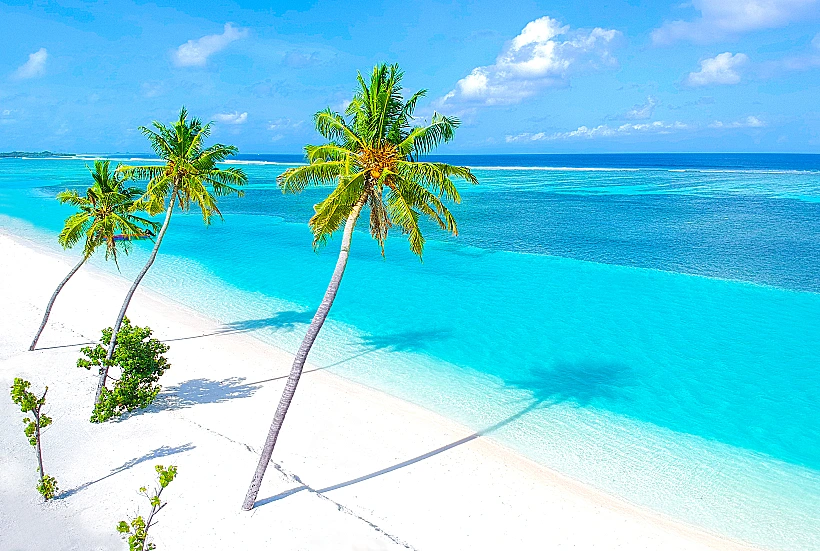 האי מאוריציוס