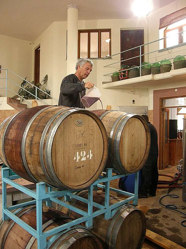 טעימות יין בעשרה שקלים. נאות סמדר