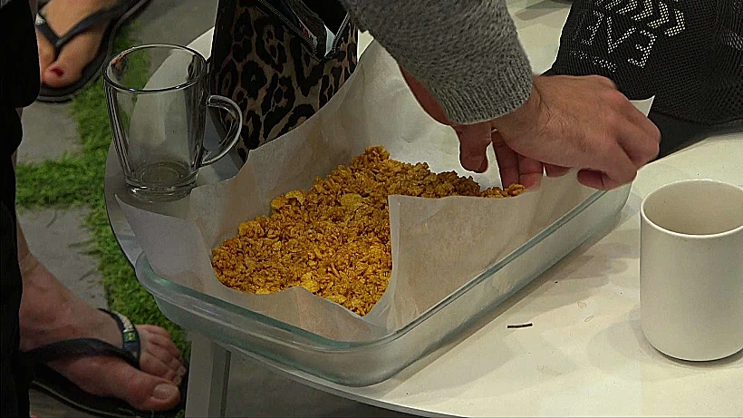 הדיירים מתכבדים