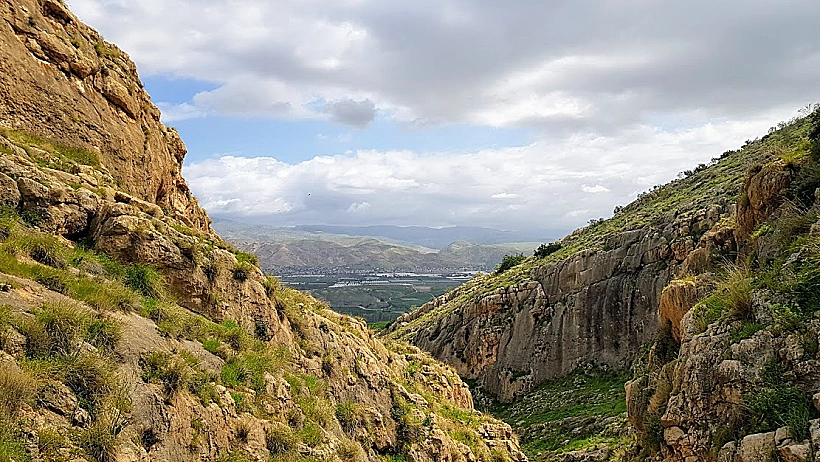 תלכיד פיראן