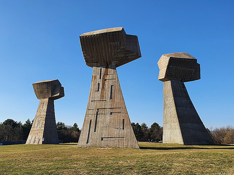 156669142 616211766394465 5798