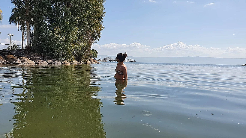 163068004 475747913862780 3379