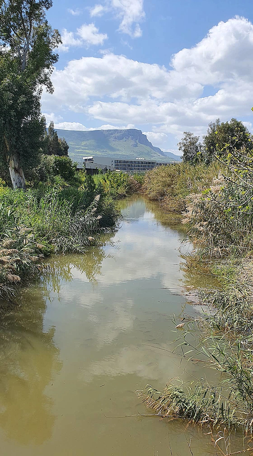 163341745 443475400097608 2657