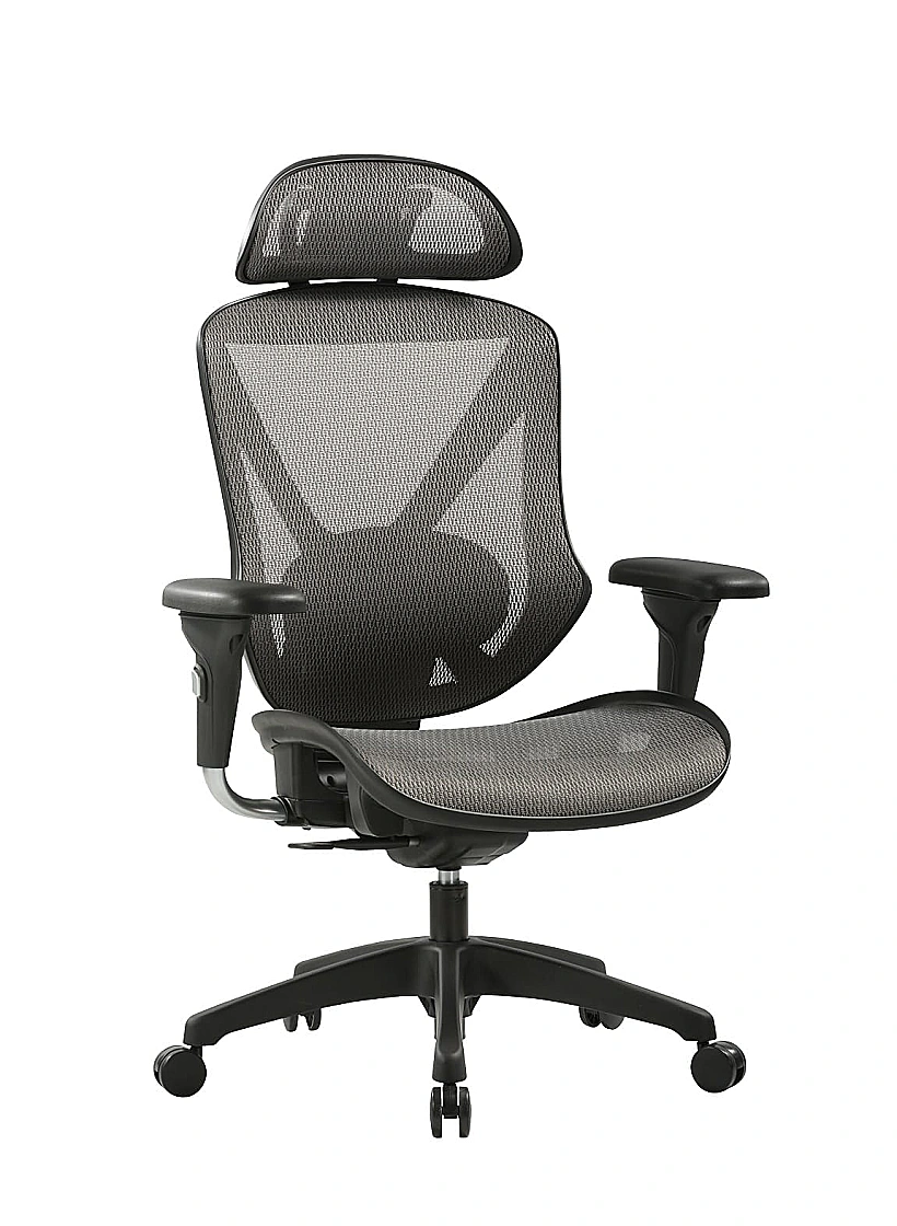 כיסא לדוגמנא