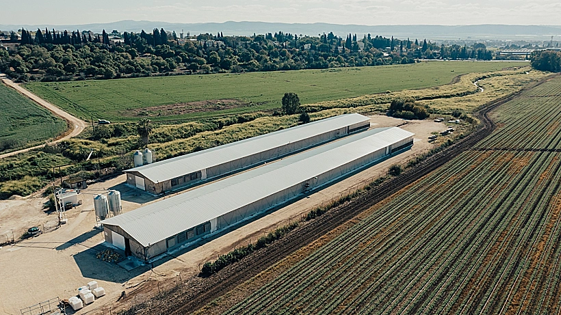 הקמת גג ע''י חג בגג