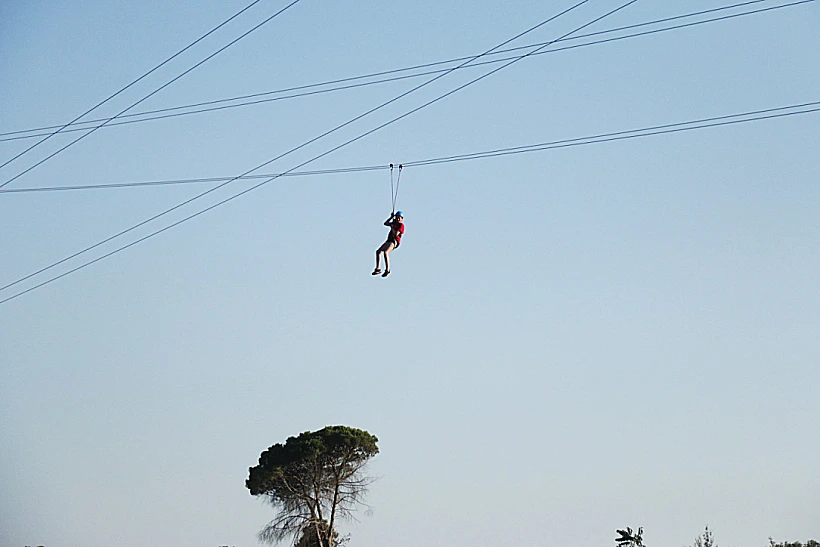 Thumb Img 3753 1024 Copy