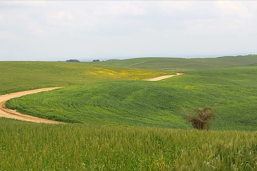בתרונות רוחמה