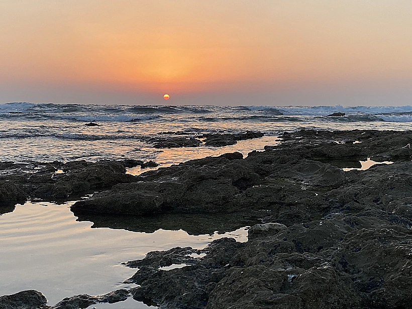 שמורת שקמונה בשקיעה. צילום: אבנית סטרולוב