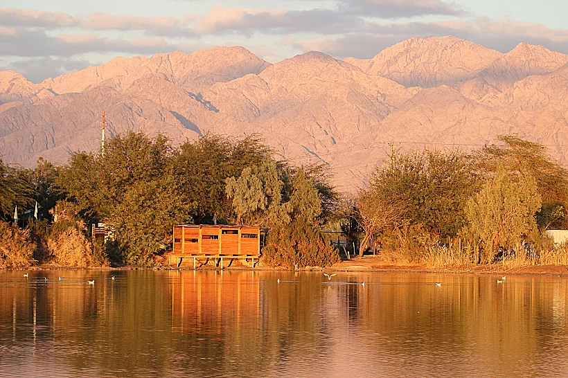 פארק הצפרות - צילם נועם ויס