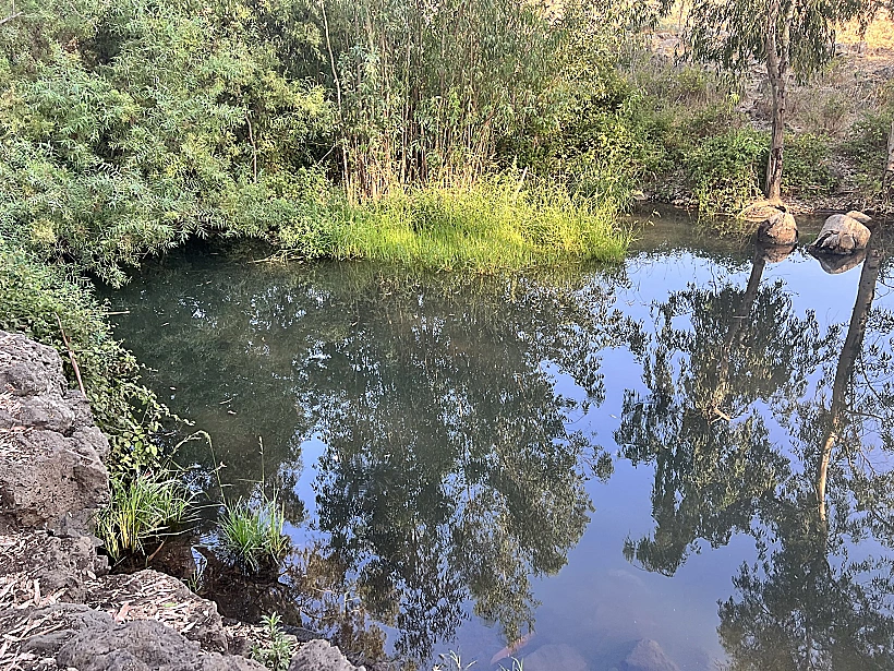 עין תות. צילום אבנית סטרולוב