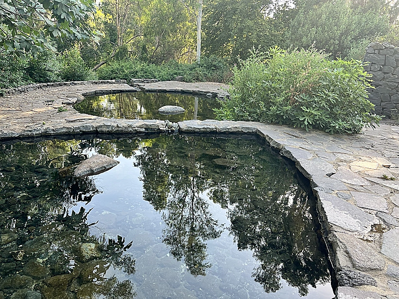 עיינות עדן - עין סלוקיה. צילום אבנית סטרולוב