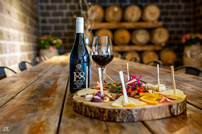 יקב בזלת הגולן. צילום: בועז אשכול