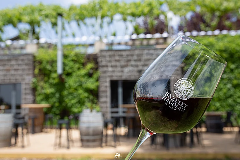 יקב בזלת הגולן. צילום: בועז אשכול 2