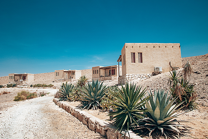 סלינה ערבה. צילום: Magdalena Mariabodzioch