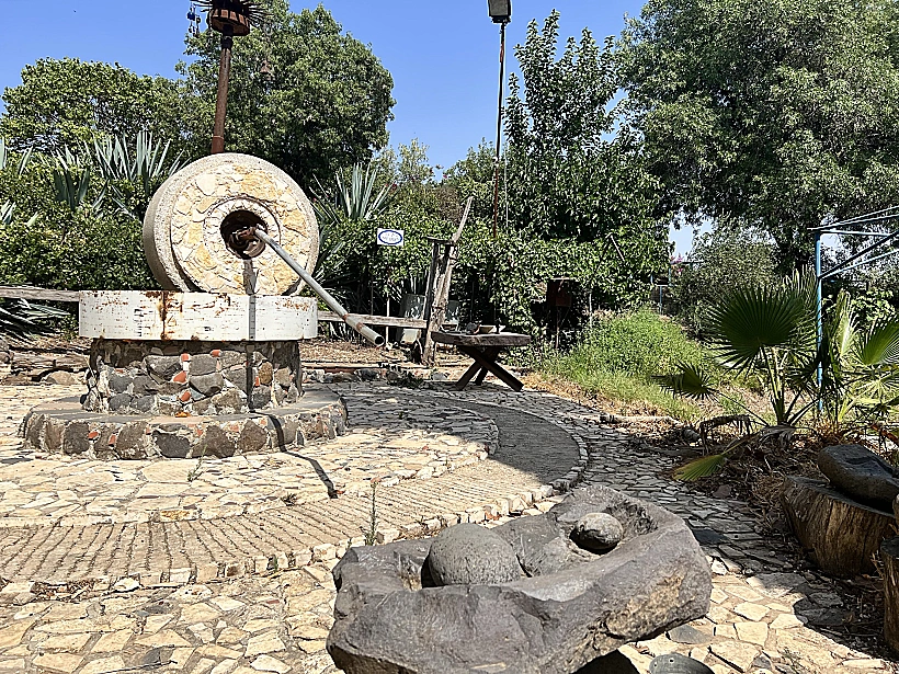 חוות בל עפרי. צילום: אבנית סטרולוב