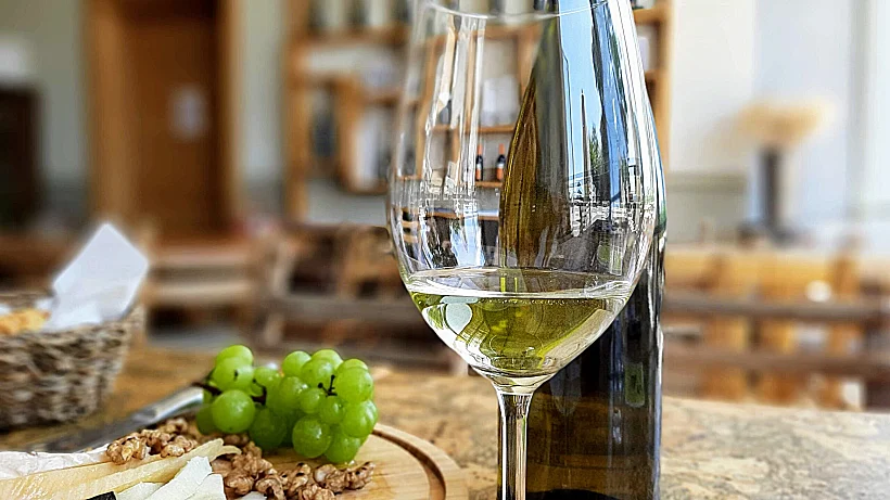 יקב ויתקין. צילום: מיכל בן ארי מנור