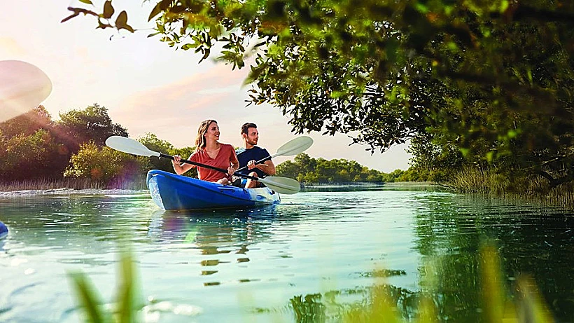 פארק הלאומי של עצי המנגרובים Yas Mangroves