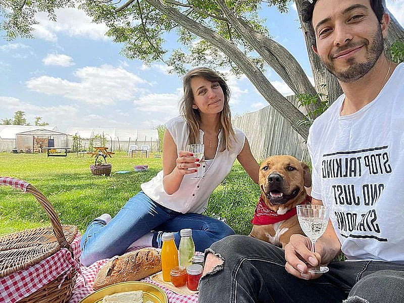 משק הכוכבים