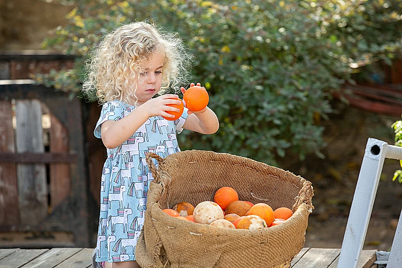 אתר הפרדסנות ע"ש מינקוב