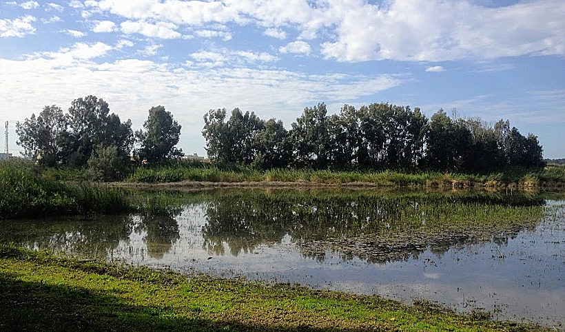 בריכת החורף ביער חדרה