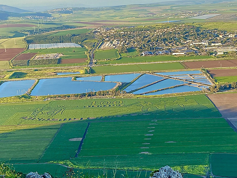 מצפור הר שאול