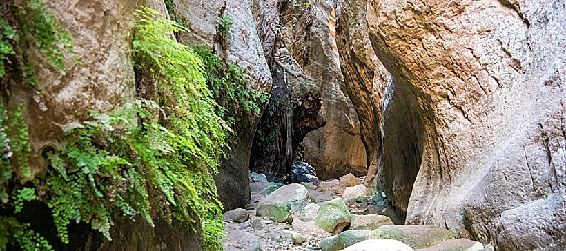 Avakas Gorge