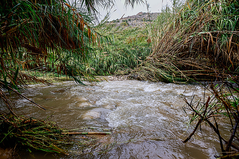 Whatsapp Image 2023 04 12 At 0