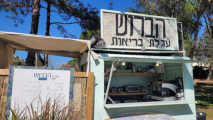 הברוש בנשקיה