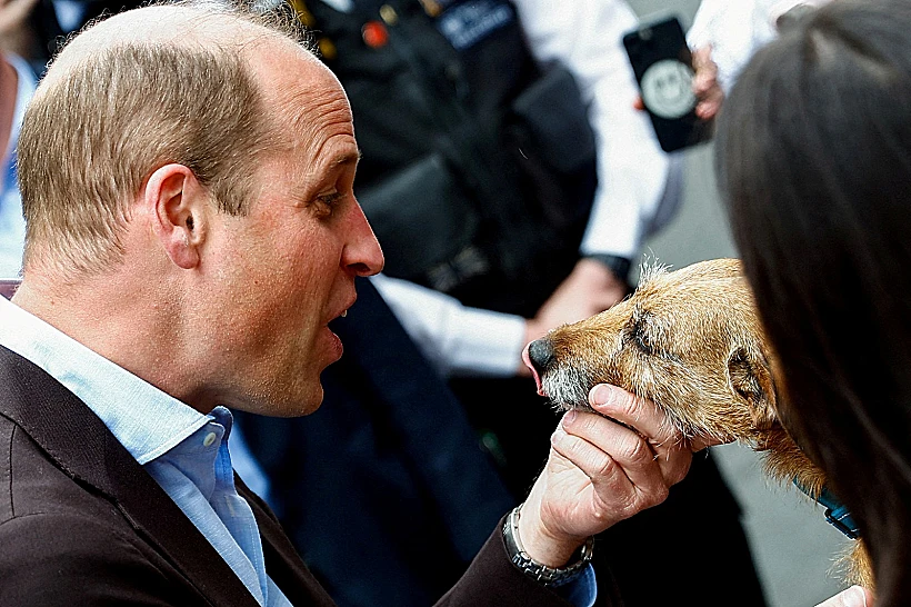 Whatsapp Image 2023 05 05 At 2