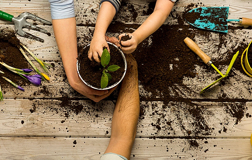 Family,spring,mood.,new,plants,life.,nature,,family.,family,plants