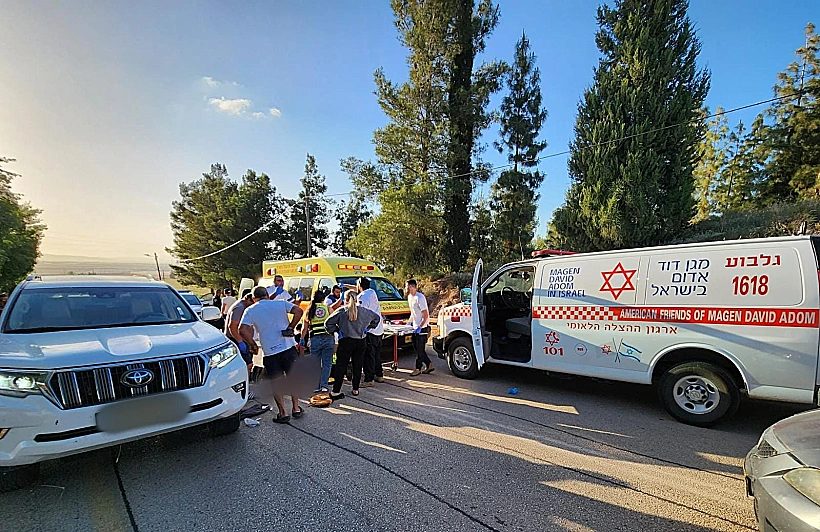 הזירה בגן נר