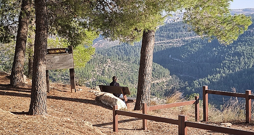 חוות הגִתות ביער עמינדב