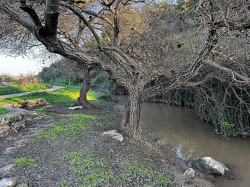 טיילת נחל ציפורי