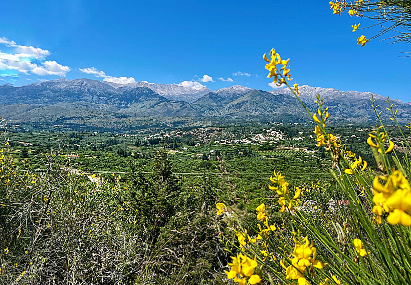 כרתים חאניה