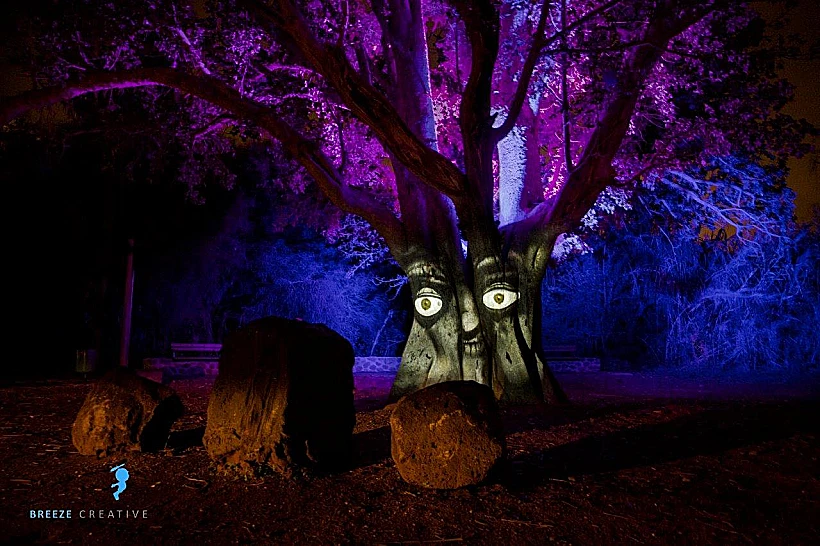 תופעת טבע פארק הירדן