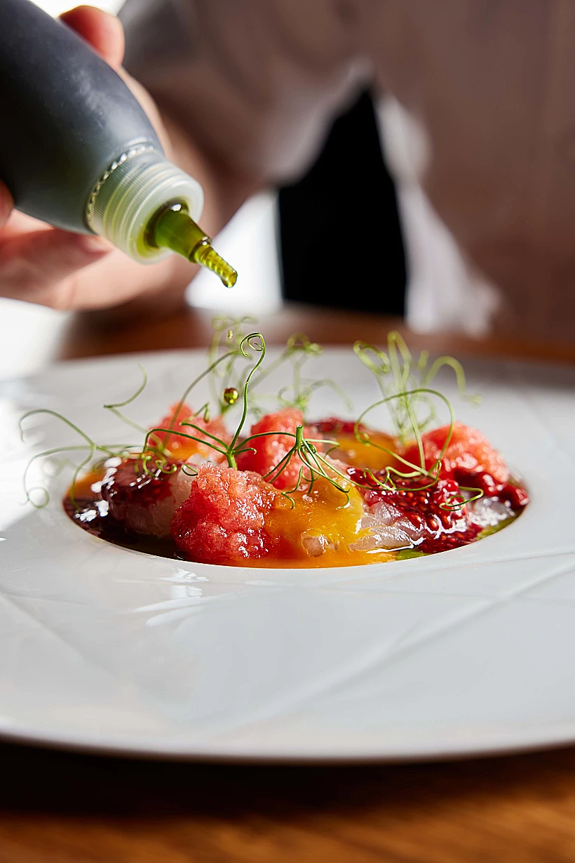 טופולופומפו