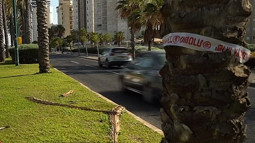 זירת הדריסה בנתניה