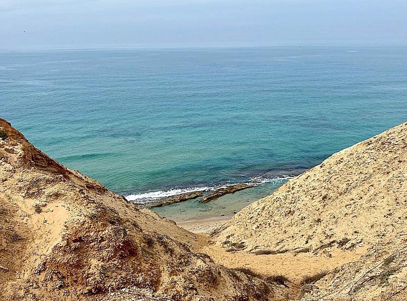 שמורת חוף השרון