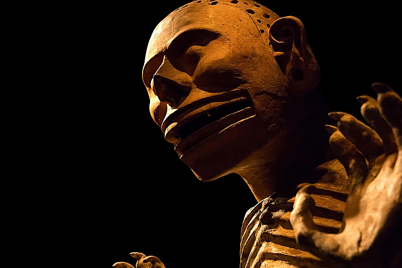 Leiden,,the,netherlands, ,sept,01,,2021:,closeup,of,a