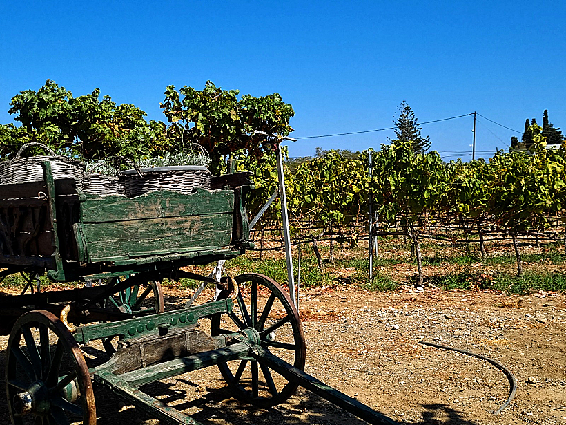 יקב חאג' עימנואל