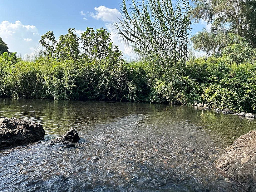 שמורת טבע עין תינה