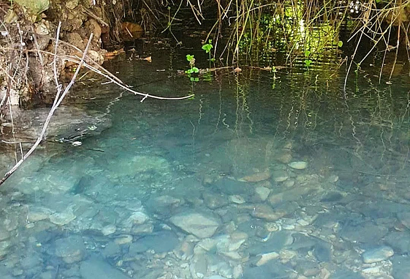 נחלי תנינים