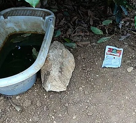 זירת הימצאות רעל בצפון